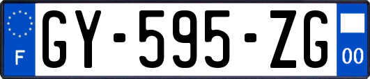 GY-595-ZG
