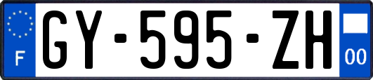 GY-595-ZH