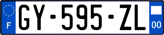 GY-595-ZL