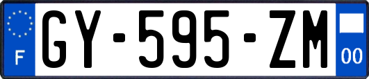 GY-595-ZM