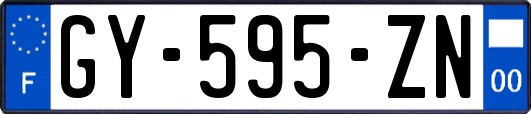 GY-595-ZN