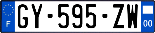 GY-595-ZW
