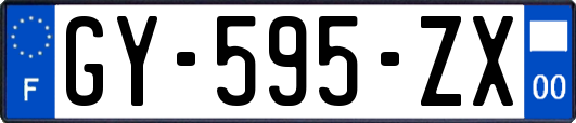 GY-595-ZX