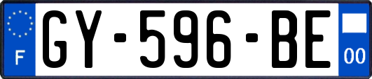 GY-596-BE
