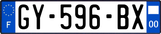 GY-596-BX