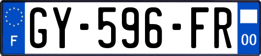 GY-596-FR