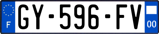 GY-596-FV