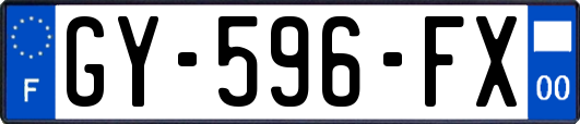 GY-596-FX