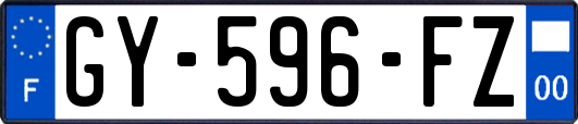 GY-596-FZ