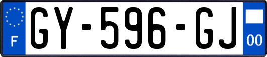 GY-596-GJ