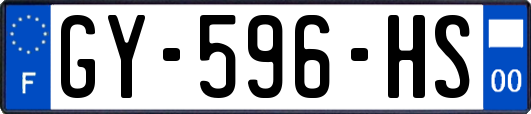 GY-596-HS