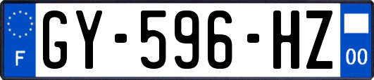 GY-596-HZ