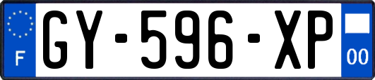 GY-596-XP