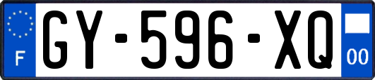 GY-596-XQ