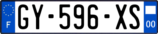 GY-596-XS