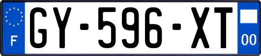 GY-596-XT