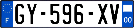 GY-596-XV