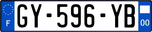 GY-596-YB