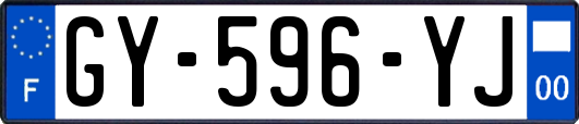 GY-596-YJ