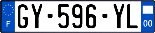 GY-596-YL