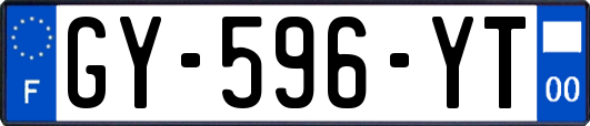 GY-596-YT