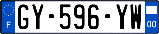 GY-596-YW