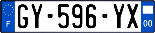 GY-596-YX