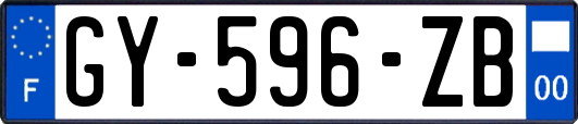 GY-596-ZB