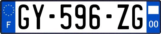 GY-596-ZG