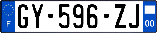 GY-596-ZJ