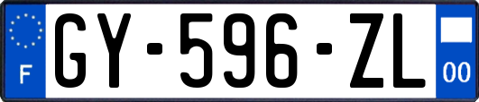 GY-596-ZL