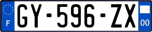GY-596-ZX