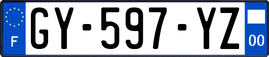 GY-597-YZ