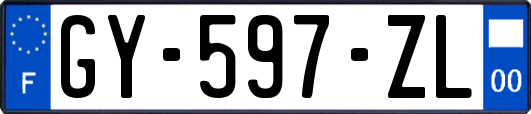 GY-597-ZL