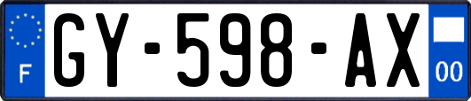 GY-598-AX