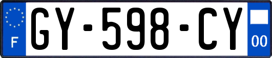 GY-598-CY