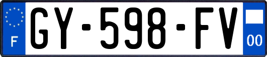 GY-598-FV