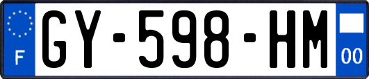 GY-598-HM