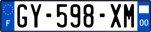 GY-598-XM