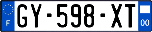 GY-598-XT