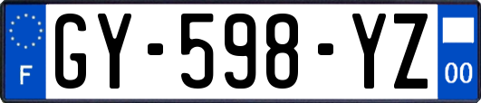 GY-598-YZ