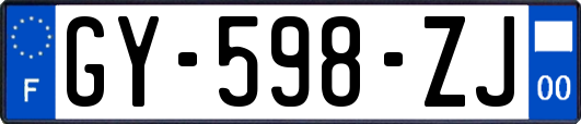 GY-598-ZJ