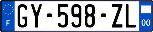 GY-598-ZL