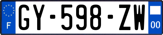 GY-598-ZW