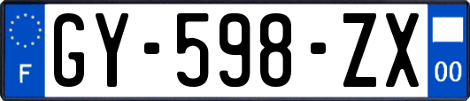 GY-598-ZX