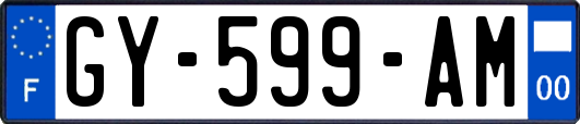 GY-599-AM