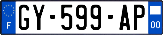 GY-599-AP