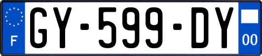 GY-599-DY