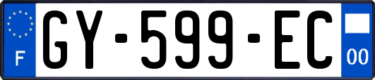 GY-599-EC
