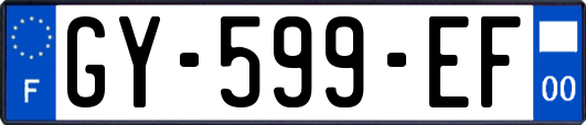 GY-599-EF